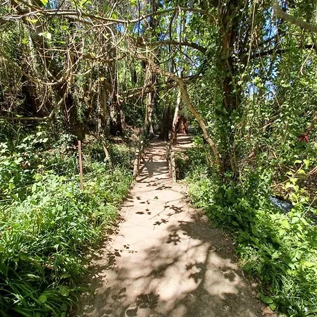Casa Sendero Del Rio El Bosque (Cadiz)