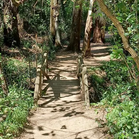 Semesterbostad Casa Sendero Del Rio El Bosque (Cadiz)