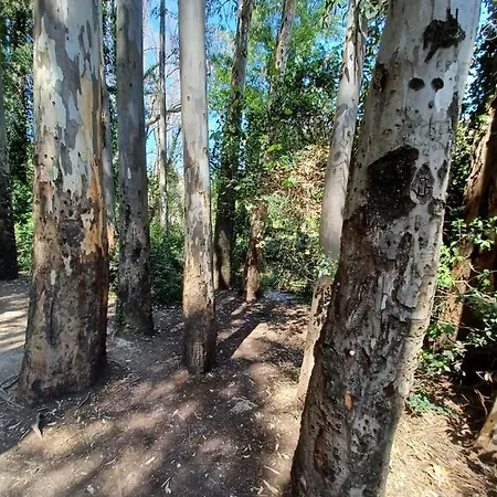 Casa Sendero Del Rio